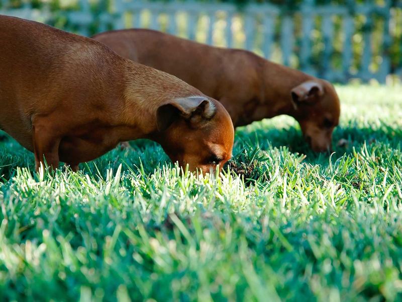 sudoku error checking screenshot 6