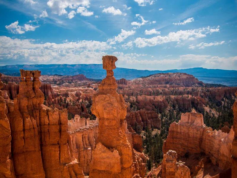 sudoku puzzle book screenshot 5