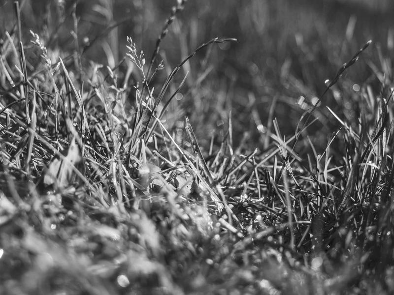 sudoku brain exercise